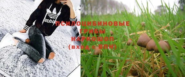 винт Усолье-Сибирское