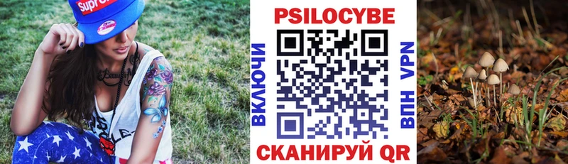 Купить закладки  Чита  Галлюциногенные грибы Cubensis 